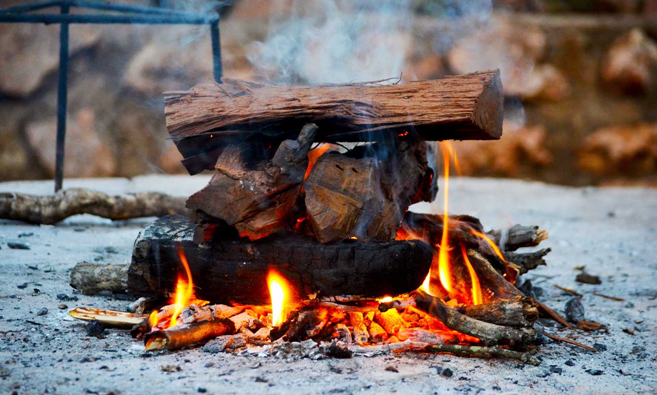 Types of Firewood - Firewood Cape Town