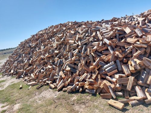 Bluegum